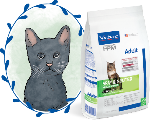 Pluto and VETERINARY HPM®