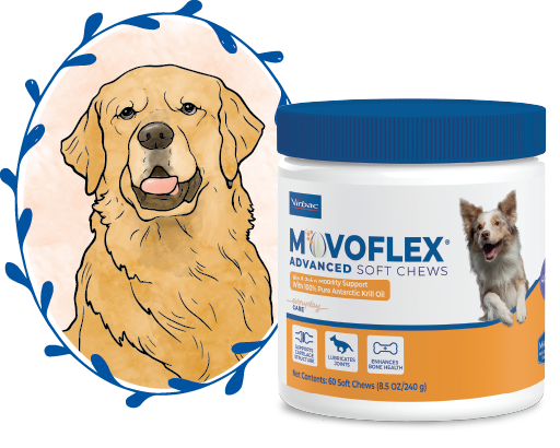 Bella and MOVOFLEX®